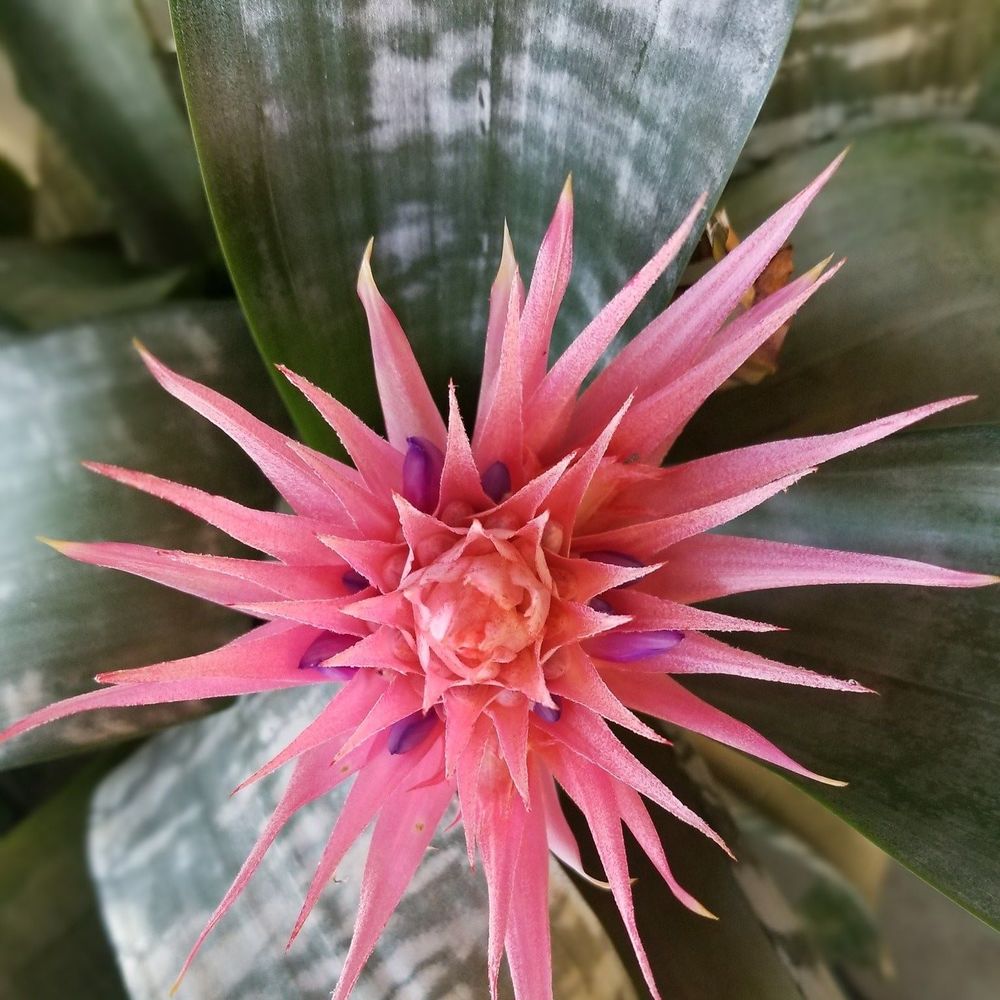 Meet your Posher, Kirsten